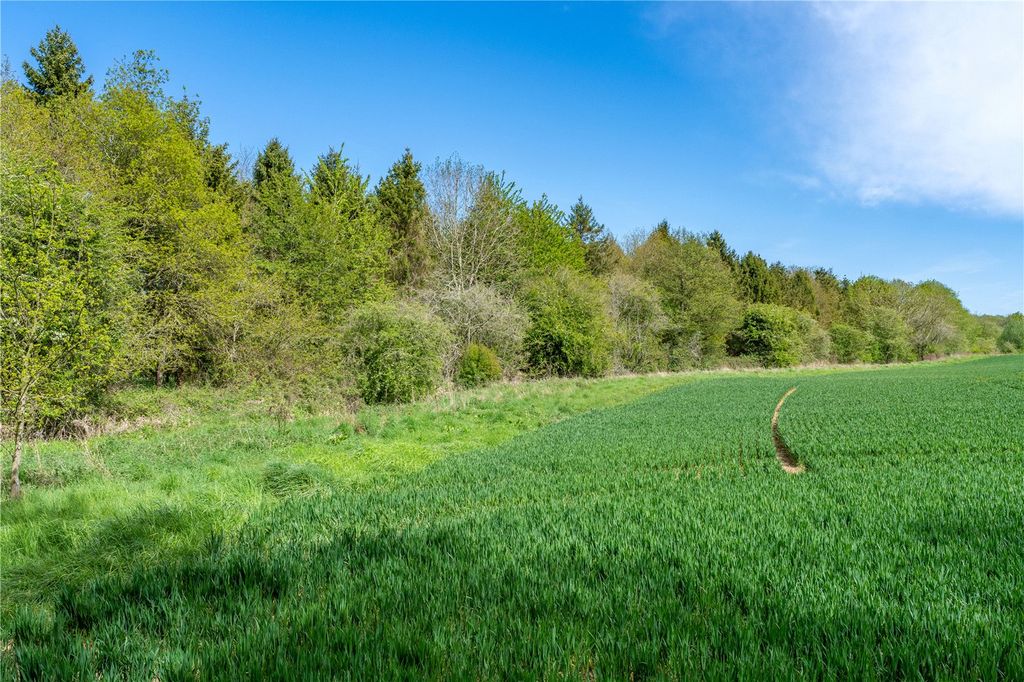 Property photo 3 of 4 Land