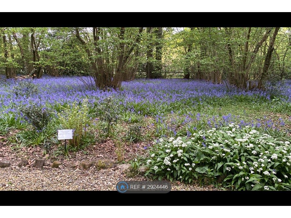 Property photo 2 of 16 Woodland In Spring