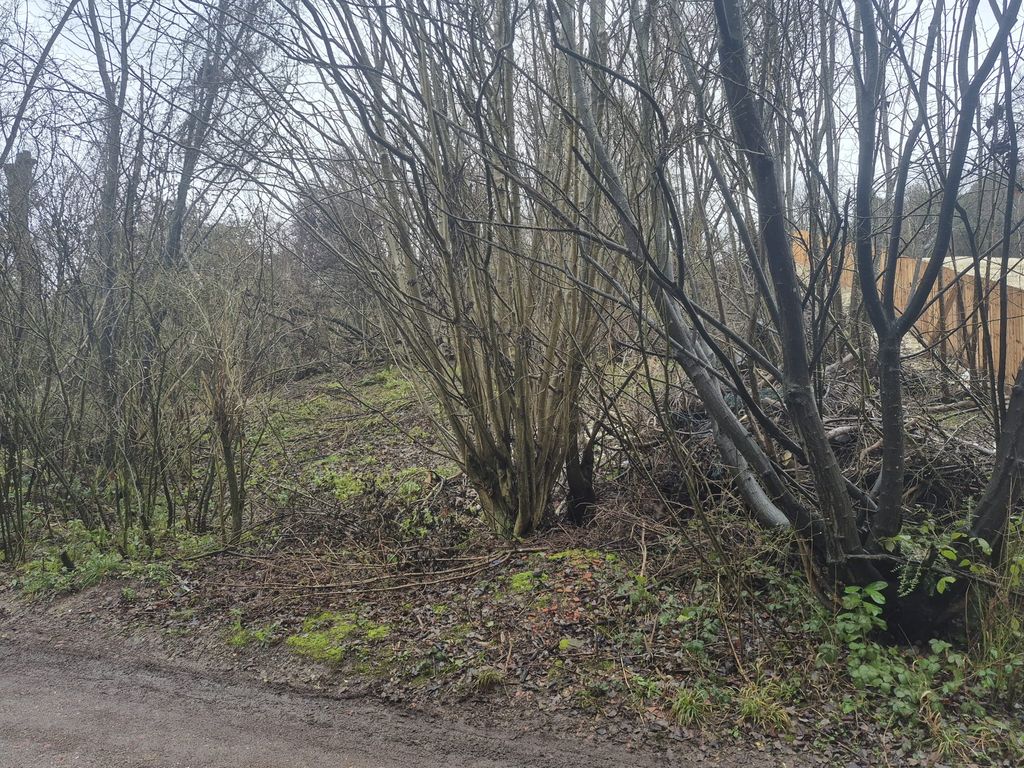 Property photo 2 of 3