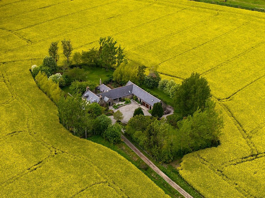 Property photo 1 of 14 Aerial Elevation