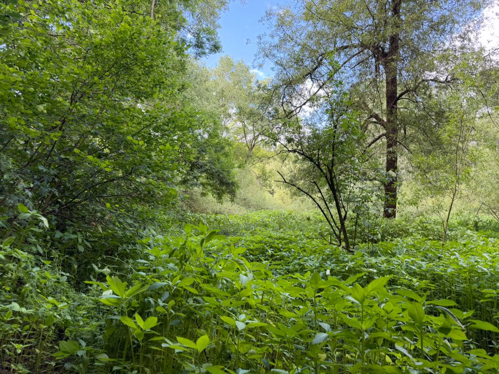 Additional image 11 of Farm for saleGreensforge Lane, Stourbridge DY7