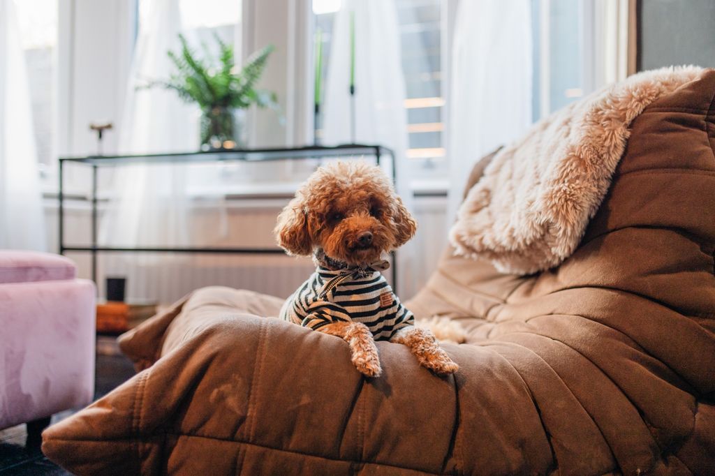 Property photo 2 of 36 Call 02920 454555 To Secure Your Viewing_36