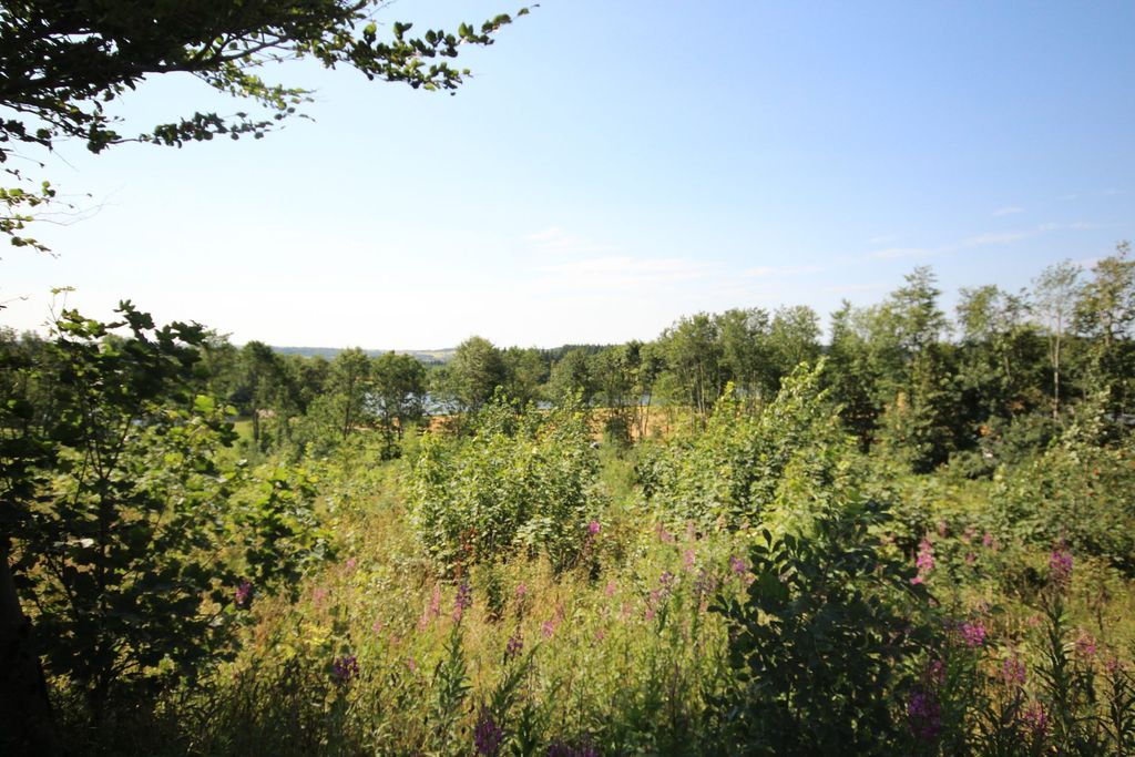 Property photo 3 of 3 View Of Woodland With Pitfour Lake In The Background Through The Trees