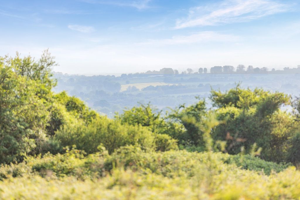 Property photo 3 of 13 Picture No. 04