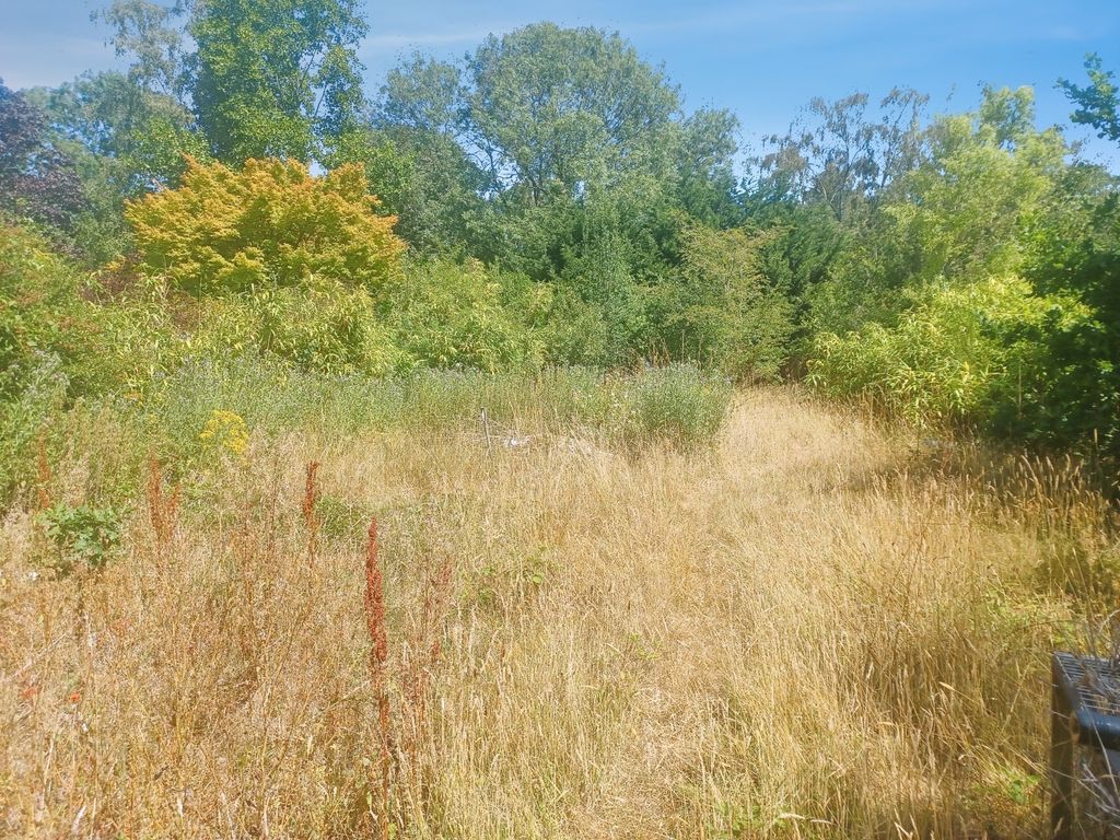 Property photo 1 of 20 Picture No. 49