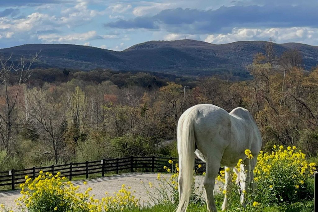 Property photo 2 of 26 <Alttext/>