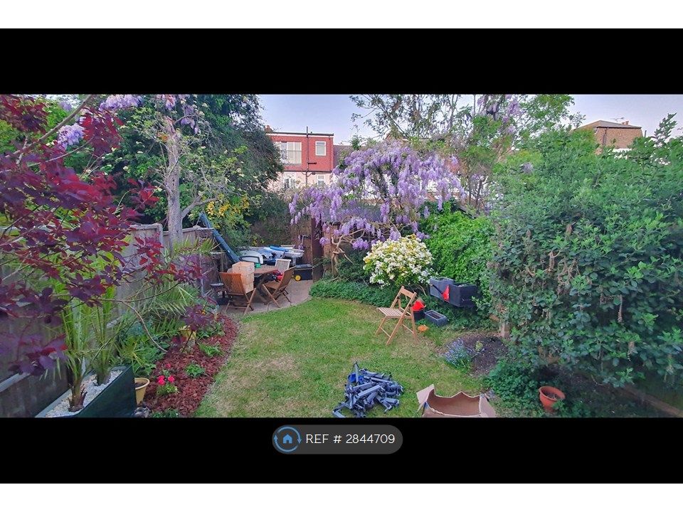 Property photo 3 of 13 Backyard