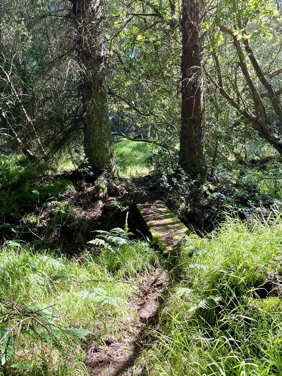 Property photo 1 of 10 Brook &amp; Bridge.Jpeg