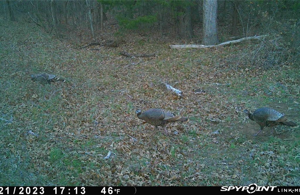 Property photo 3 of 3 <Alttext/>