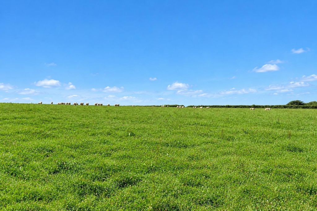 Property photo 2 of 4 Grass / Arable Land