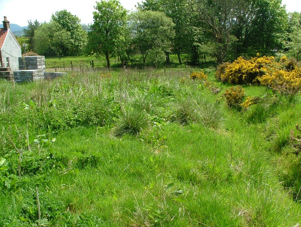 Property photo 2 of 5
