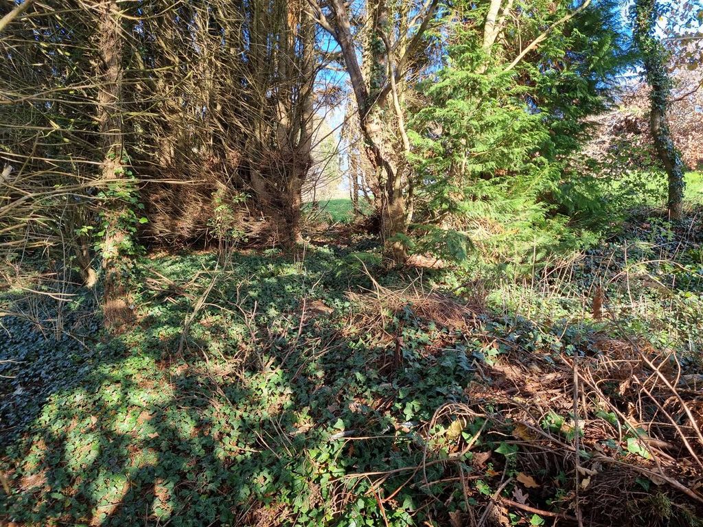 Additional image 20 of Detached bungalow for saleSpry Lane, Lifton PL16