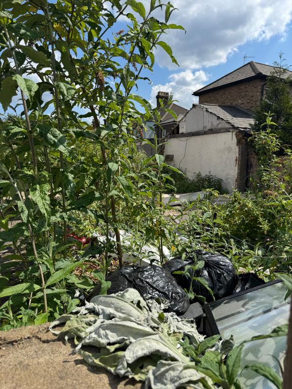 Property photo 3 of 3 Ad60E575-968d-4F83-8d7E-d9c53c6E230B