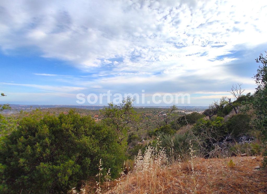 Property photo 2 of 2