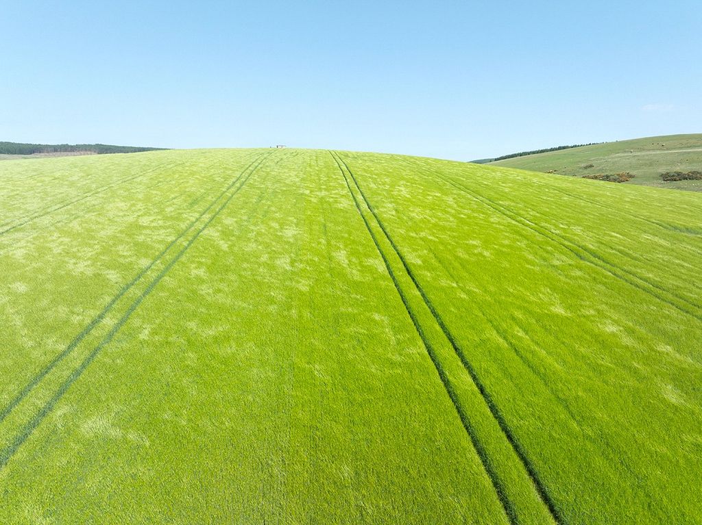 Additional image 15 of Land for saleTownhead Farm, Parkgate, Dumfries, Dumfries And Galloway DG1