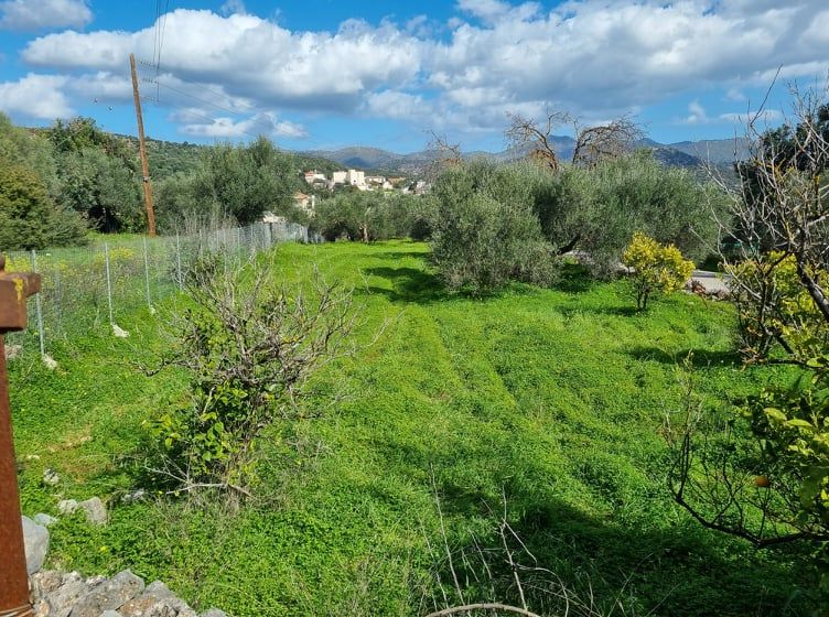 Property photo 3 of 13