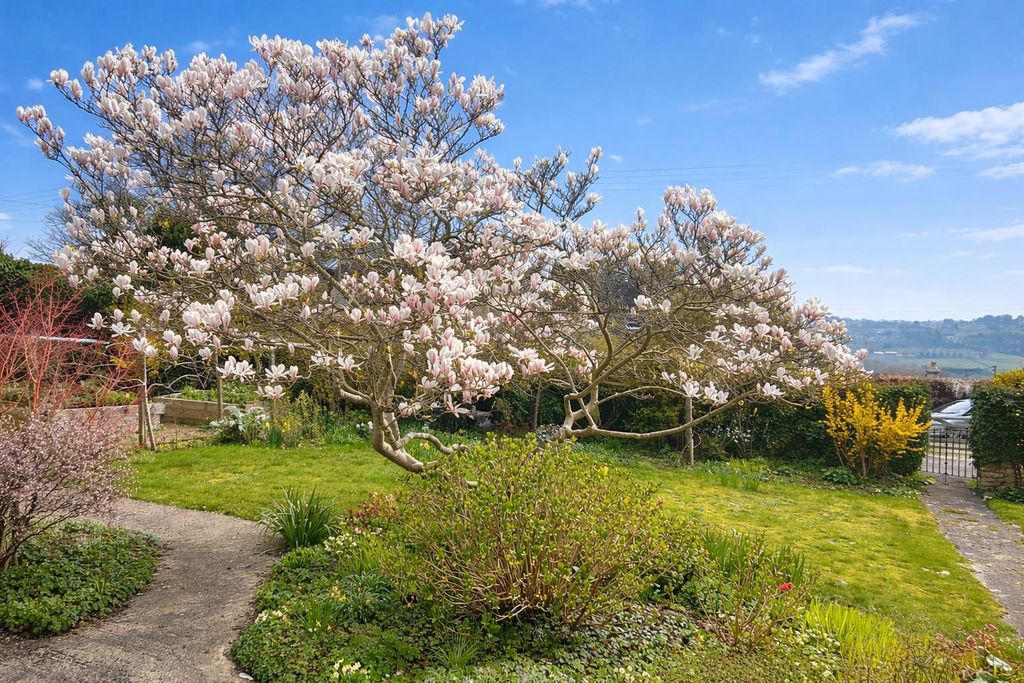 Property photo 3 of 41 Blossom.Png