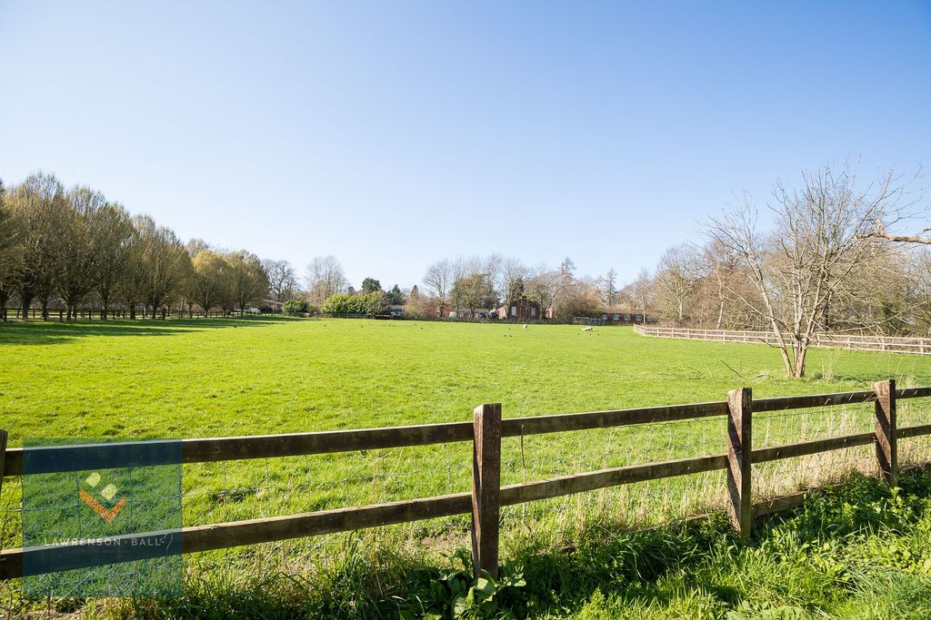 Property photo 3 of 20 Rear View