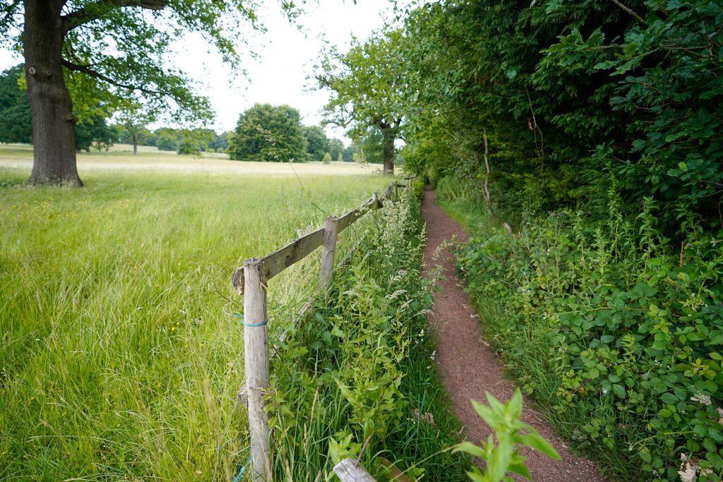 Property photo 3 of 6 Photo 3