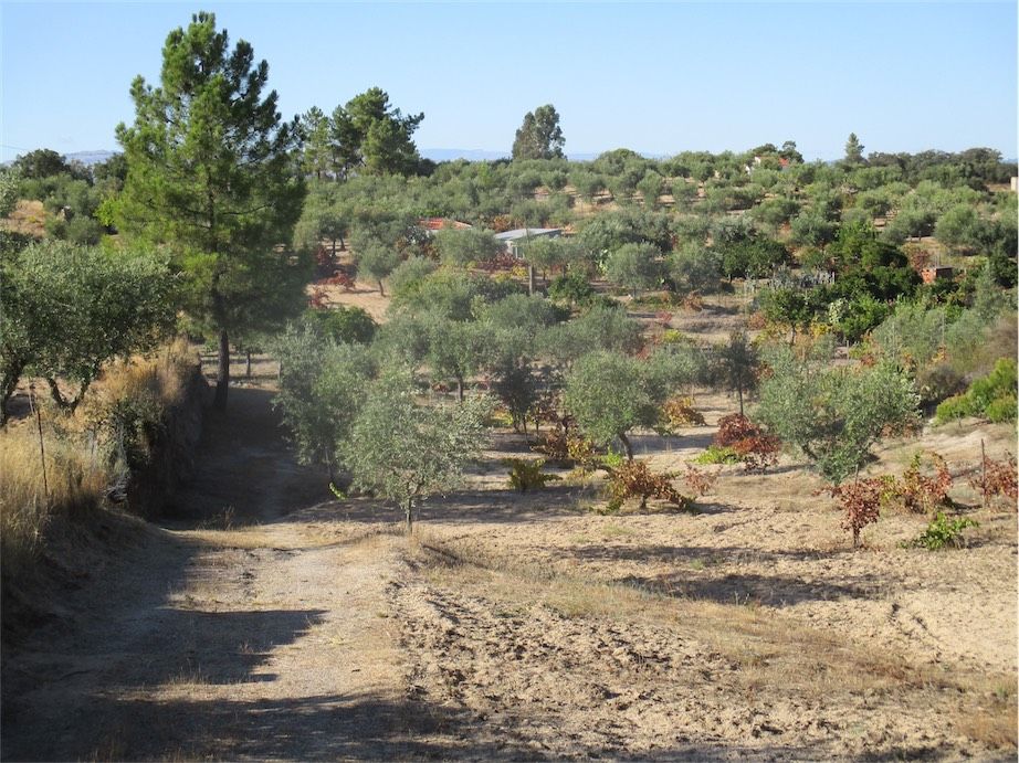 Property photo 1 of 31