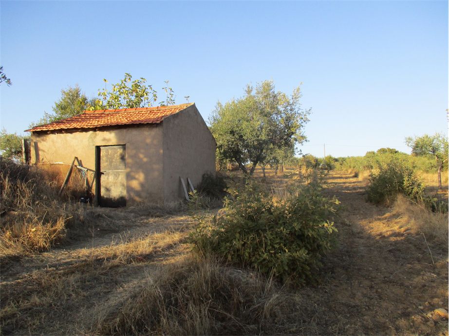 Property photo 1 of 21