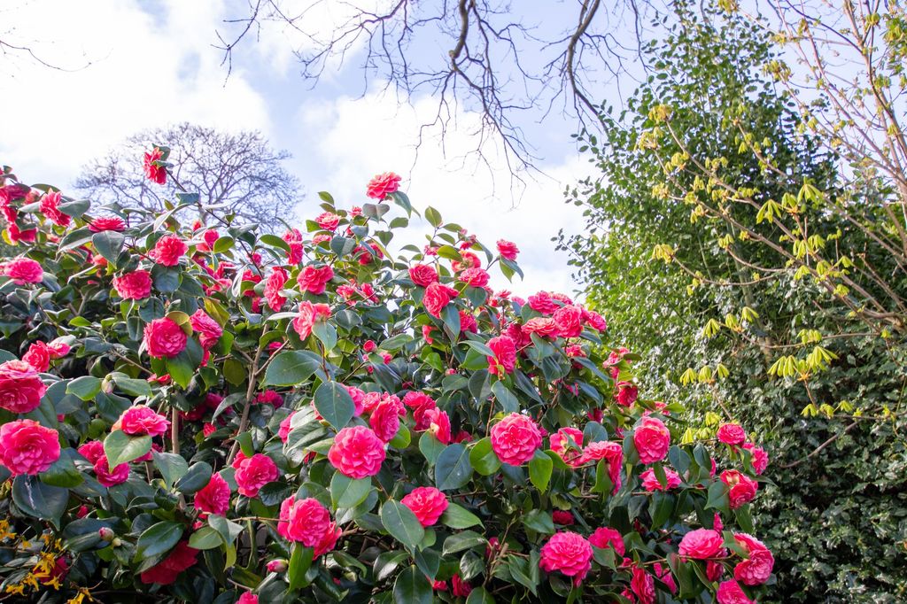 Property photo 3 of 21