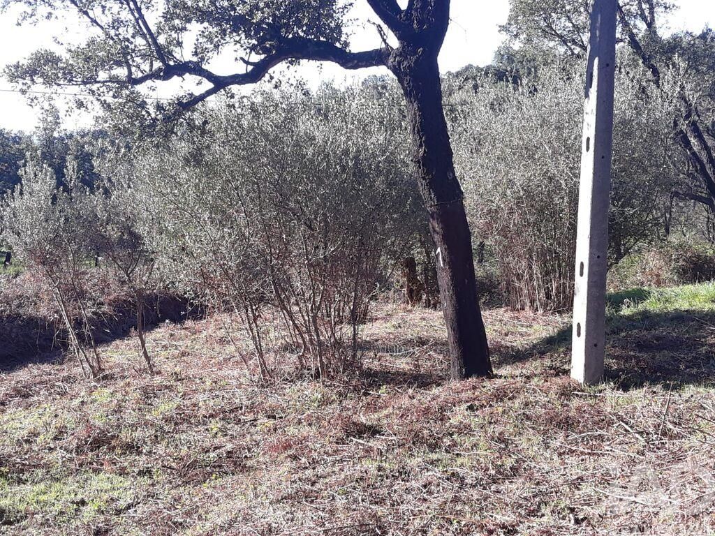 Property photo 1 of 2