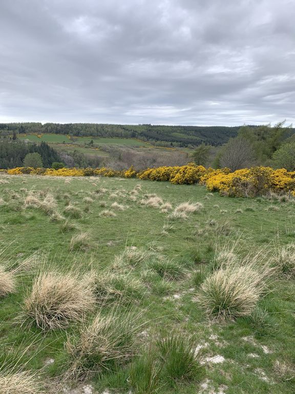 Property photo 3 of 7