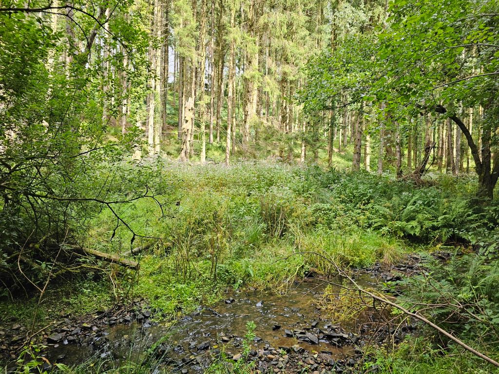 Property photo 3 of 8 Heathcote Wood