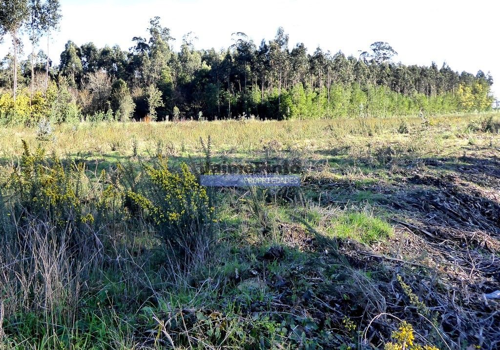 Property photo 1 of 2