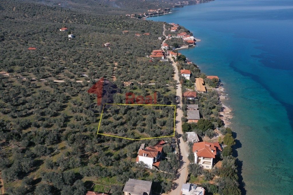 Property photo 2 of 21