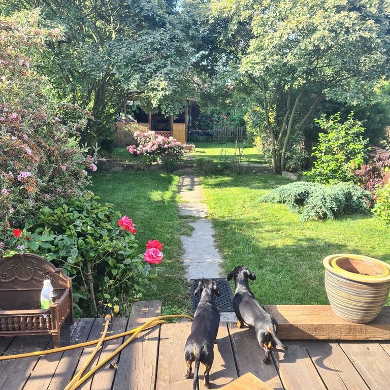 Property photo 2 of 35 Photo 35