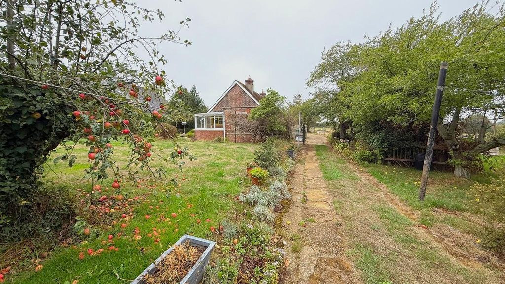 Property photo 1 of 16 Rear Garden