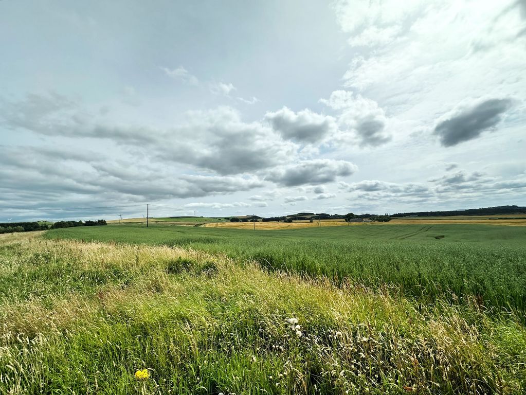 Property photo 2 of 4