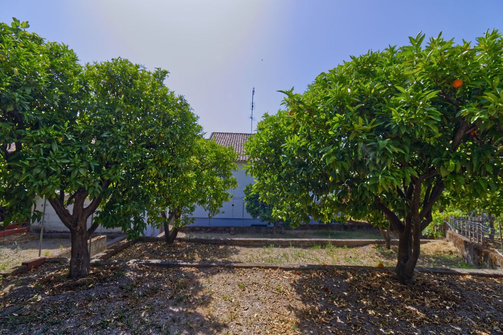 Property photo 3 of 24