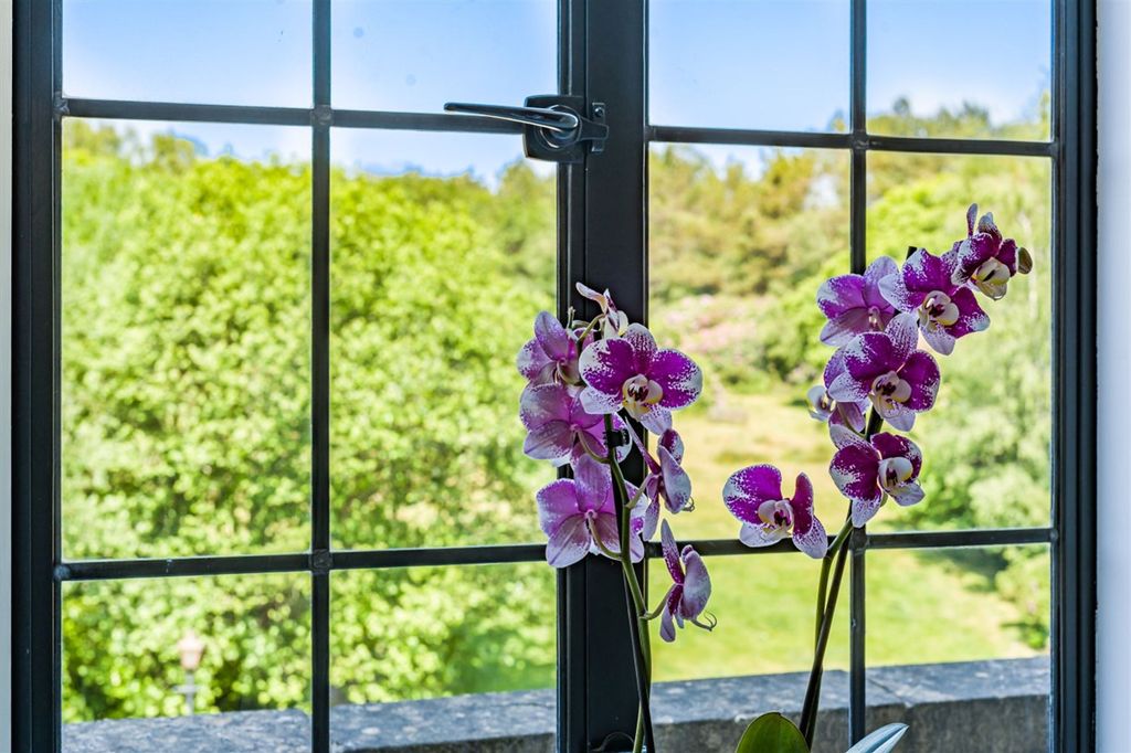 Property photo 3 of 19 Views