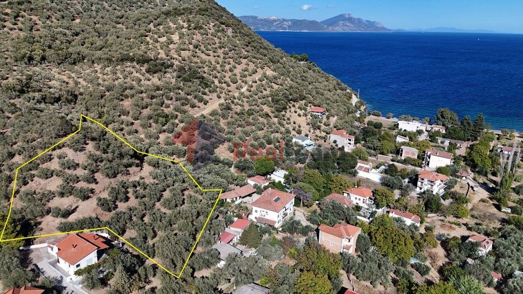 Property photo 2 of 12