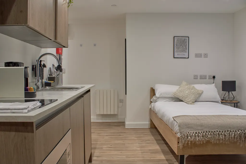 Cherry Lane, Bristol BS1 - Widok 6