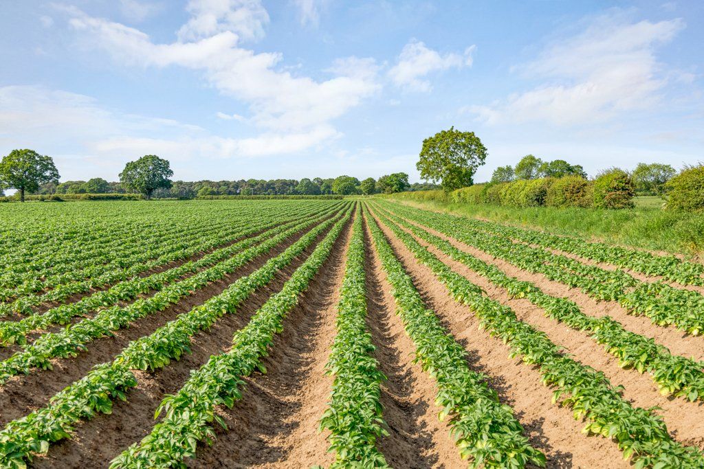 Additional image 17 of Land for saleGate Helmsley, York, North Yorkshire YO41