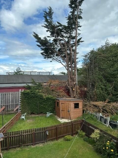 Property photo 3 of 13