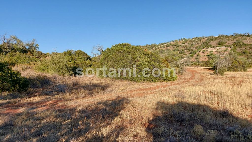 Property photo 3 of 4