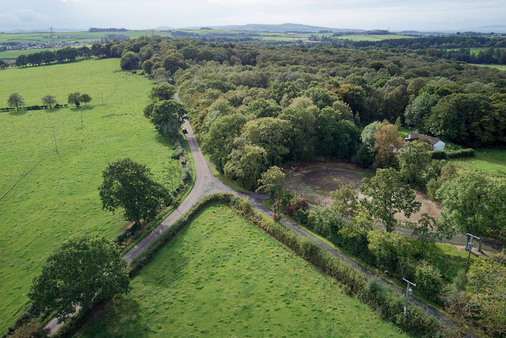 Property photo 3 of 10