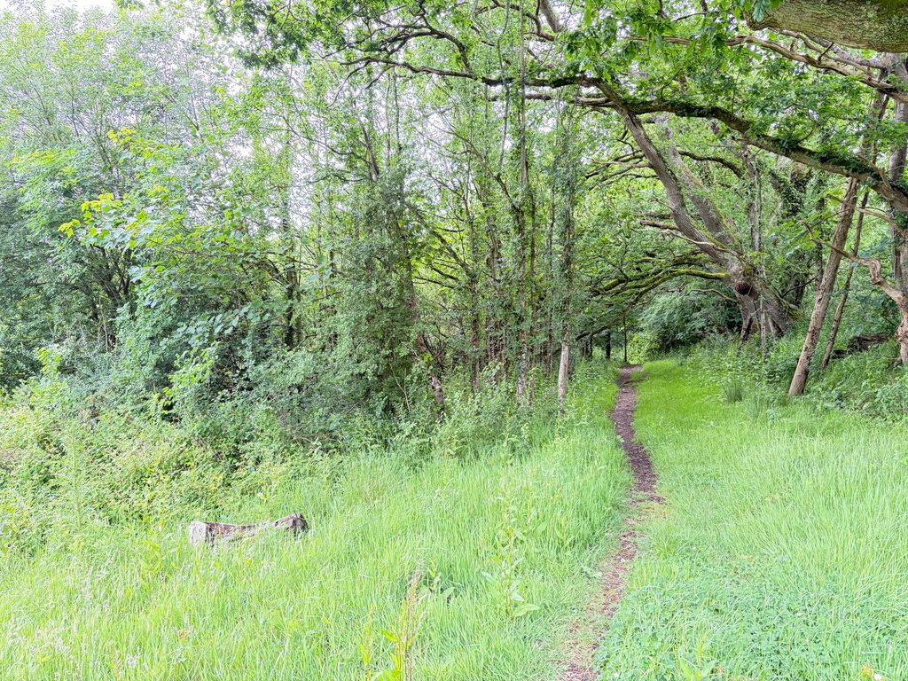 Land for saleHatherleigh, Devon EX20 photo 4