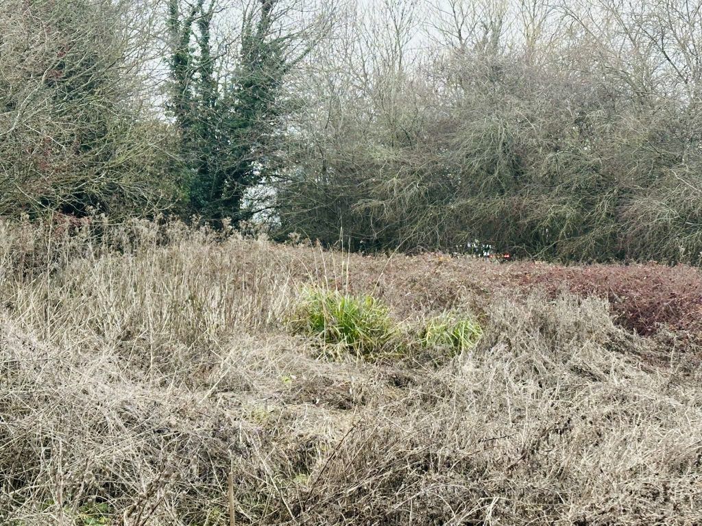 Property photo 3 of 6