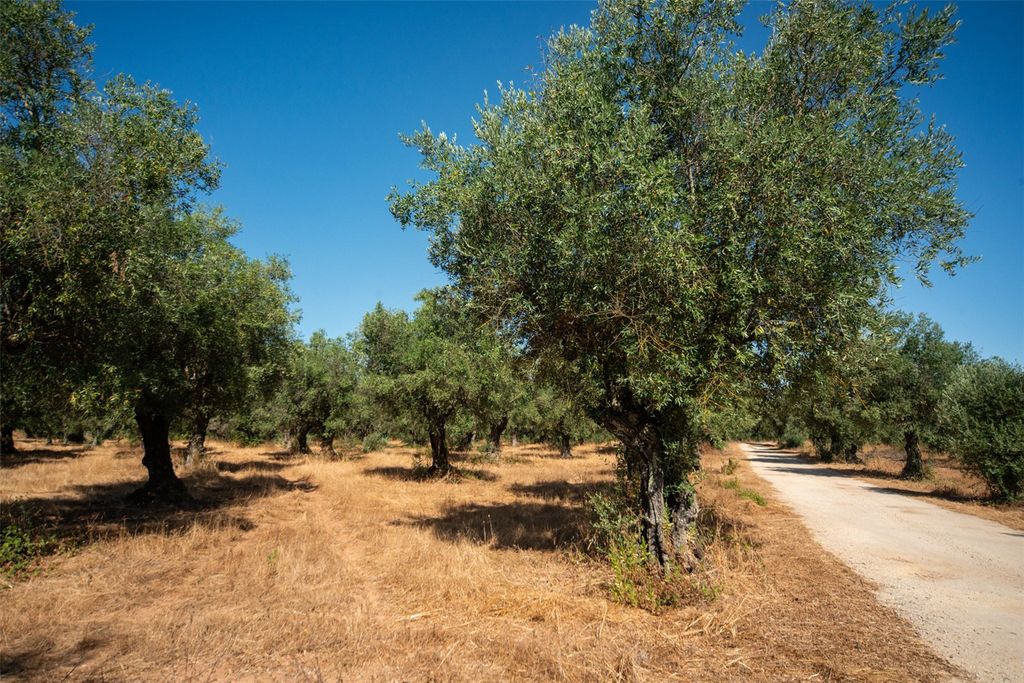 Property photo 3 of 15 Picture No. 01