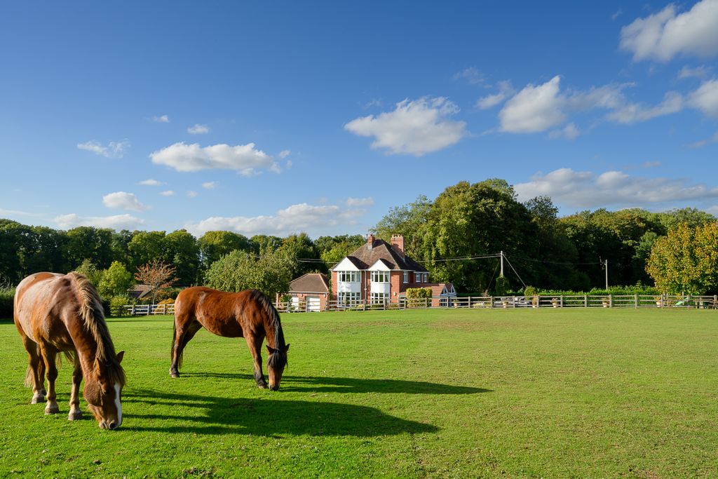 Property photo 1 of 26 Wayside-38