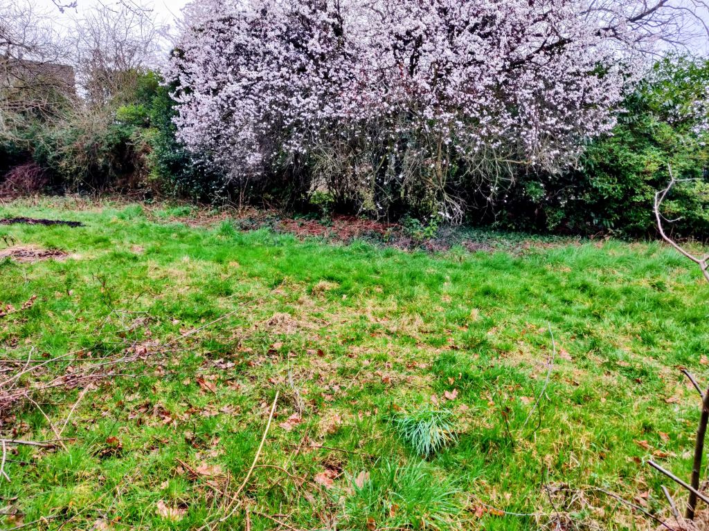 Additional image 5 of Land for saleSaughall Road, Chester CH1
