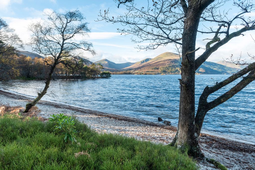 Additional image 13 of Land for saleInchconnachan Island, Loch Lomond, Stirlingshire G83