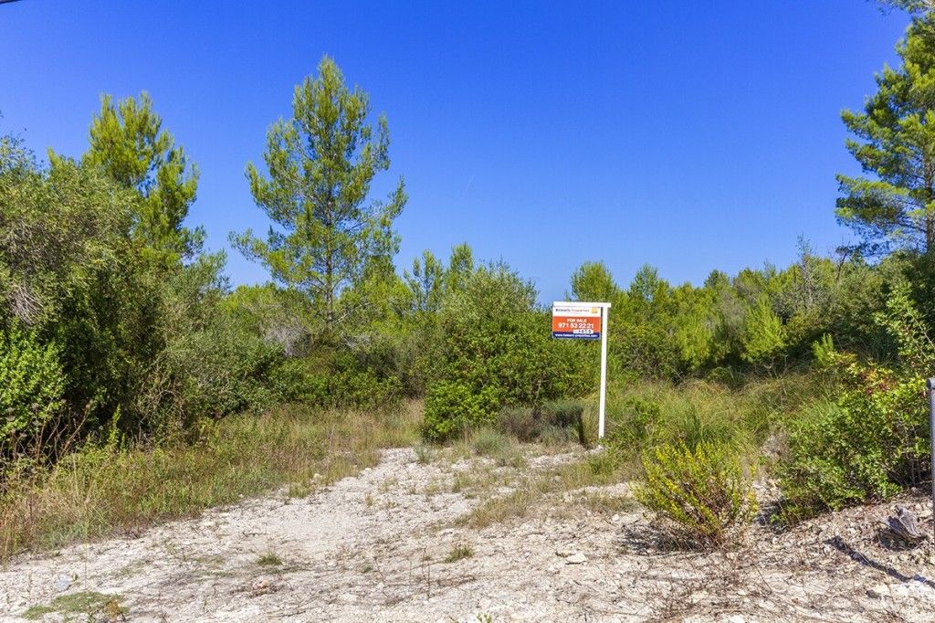 Property photo 1 of 13 Plot (1)