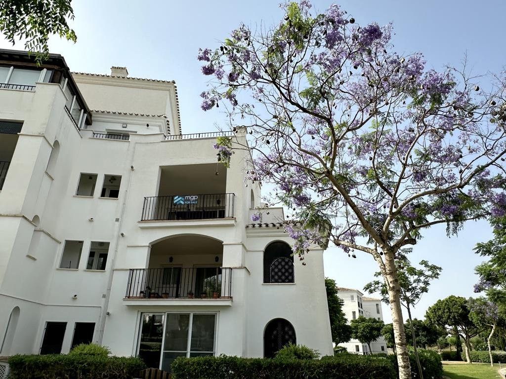 Property photo 3 of 32